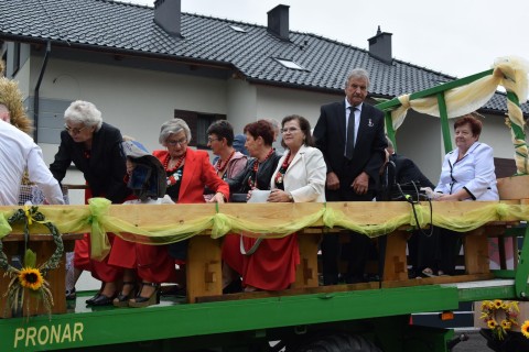 Zdjęcie - 