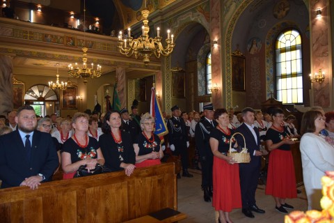 Zdjęcie - 