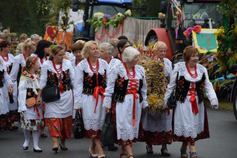 Zdjęcie - 