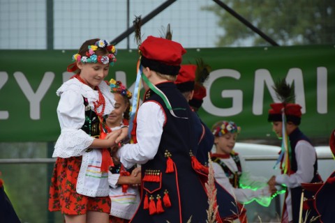 Zdjęcie - 