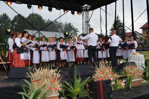 Zdjęcie - 