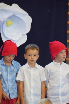 Zdjęcie - 